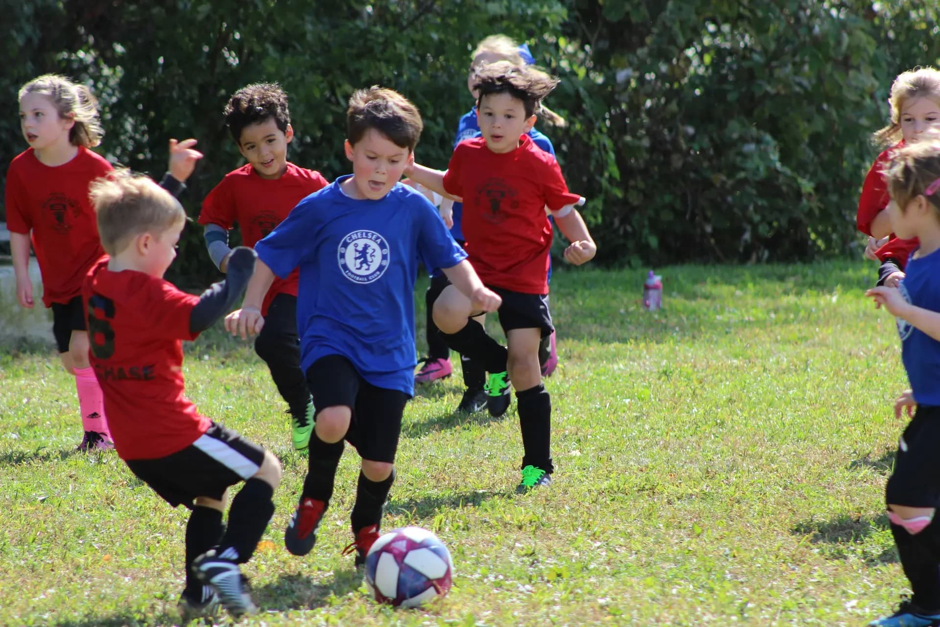 Standard School has kick started the development of their&nbsp;Website